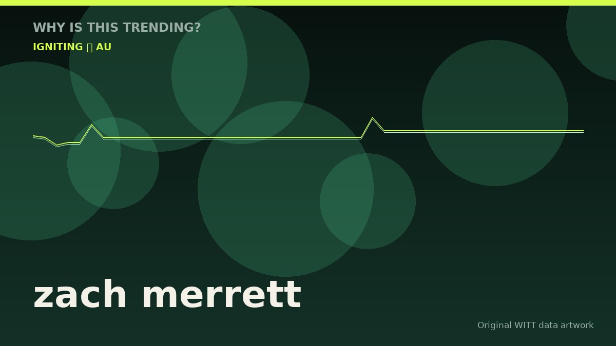 zach merrett original attention timeline illustration