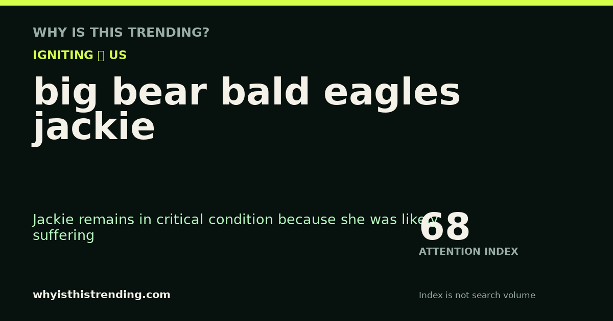 big bear bald eagles jackie attention trend card