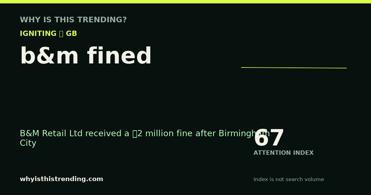 b&m fined attention trend card