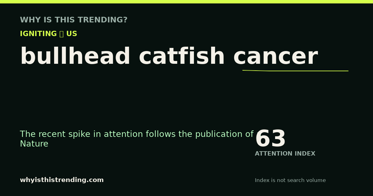 bullhead catfish cancer attention trend card
