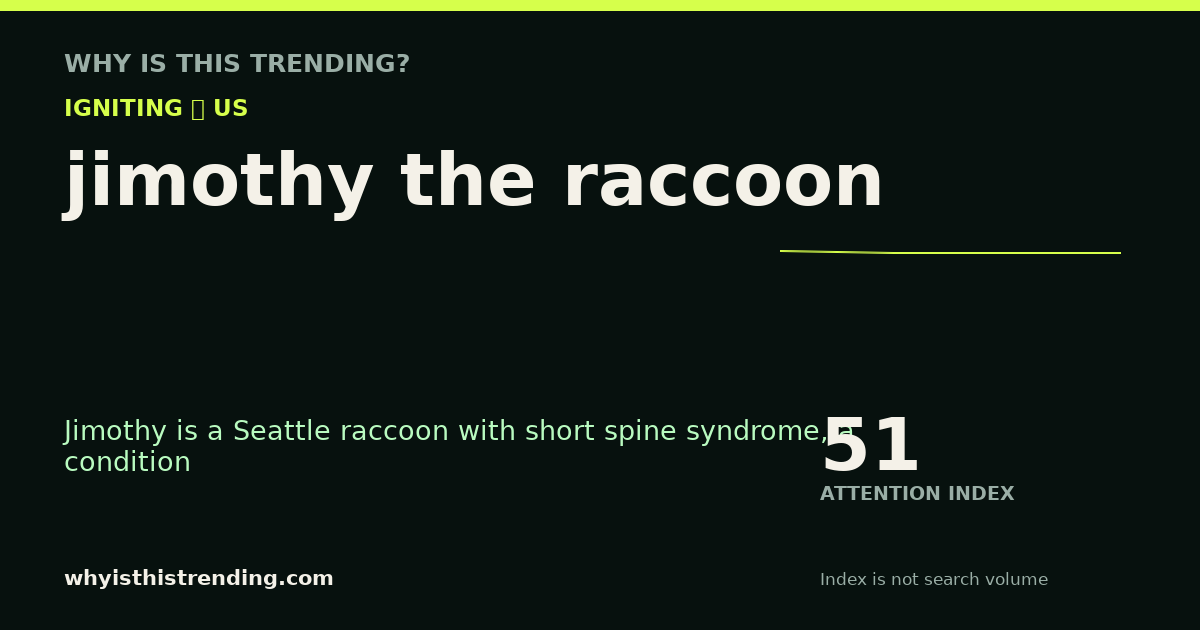 jimothy the raccoon attention trend card