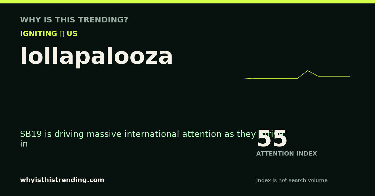 lollapalooza attention trend card