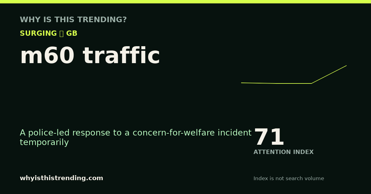 m60 traffic attention trend card
