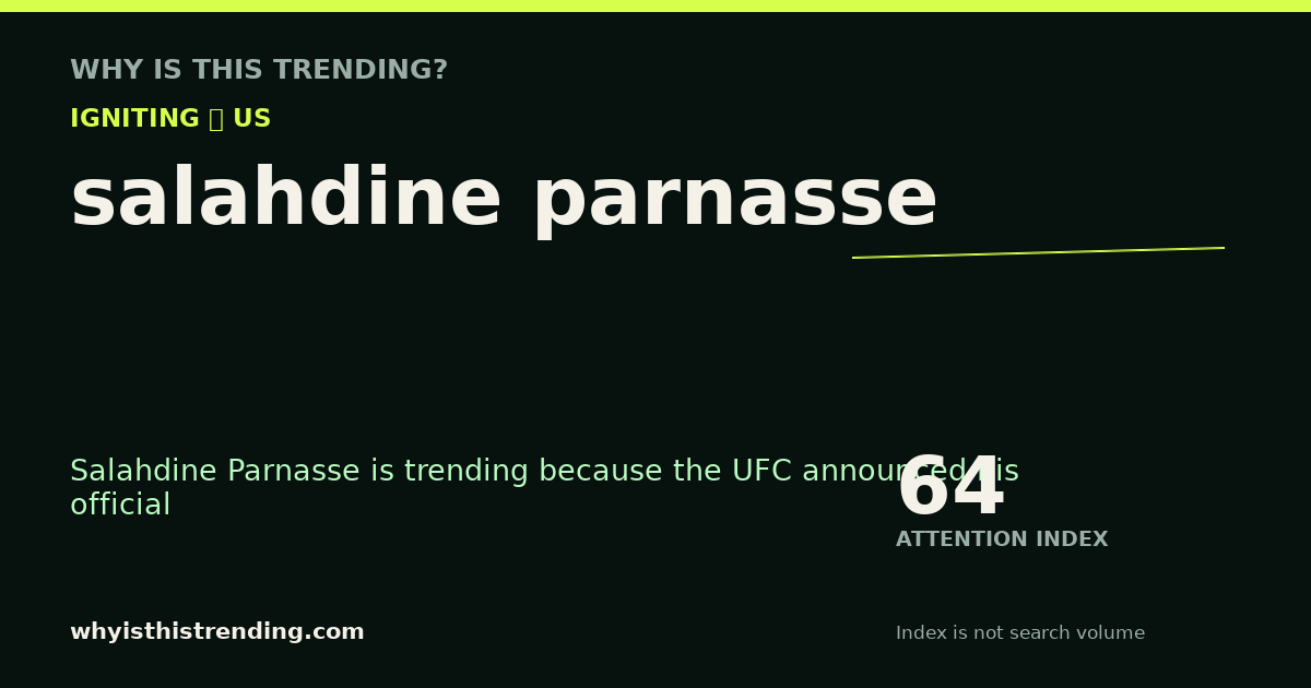 salahdine parnasse attention trend card