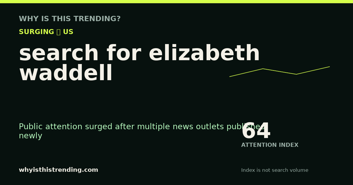 search for elizabeth waddell attention trend card